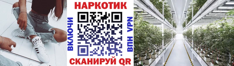 Наркошоп Балашов А ПВП ссылка на мегу рабочий сайт Меф АМФЕТАМИН Гашиш Конопля