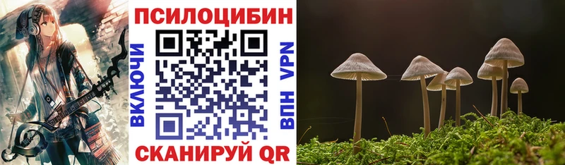 магазин продажи   Балашов  Псилоцибиновые грибы Psilocybine cubensis 