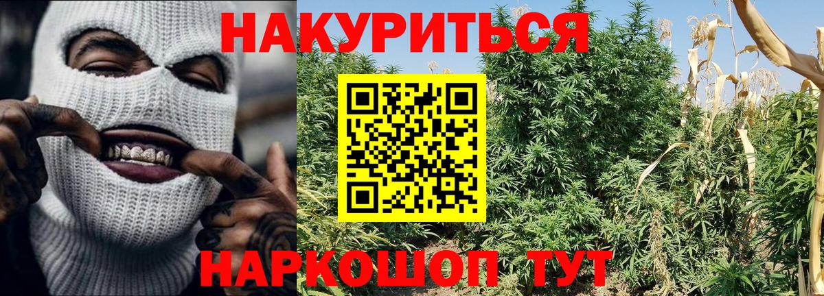 Каннабис SATIVA & INDICA  Вход с VPN  Балашов  Бошки марихуана SATIVA & INDICA  Каннабис сатива 